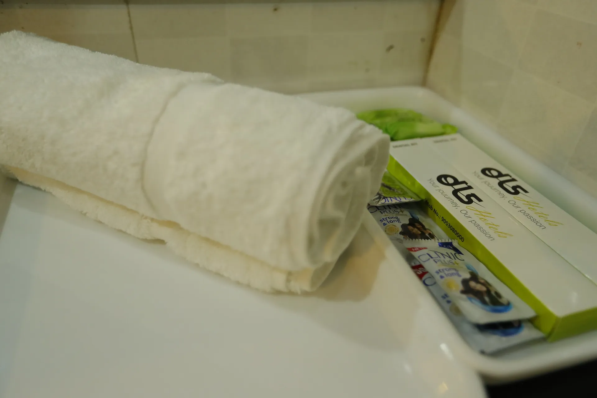 DLS Hotel Pearl Washroom