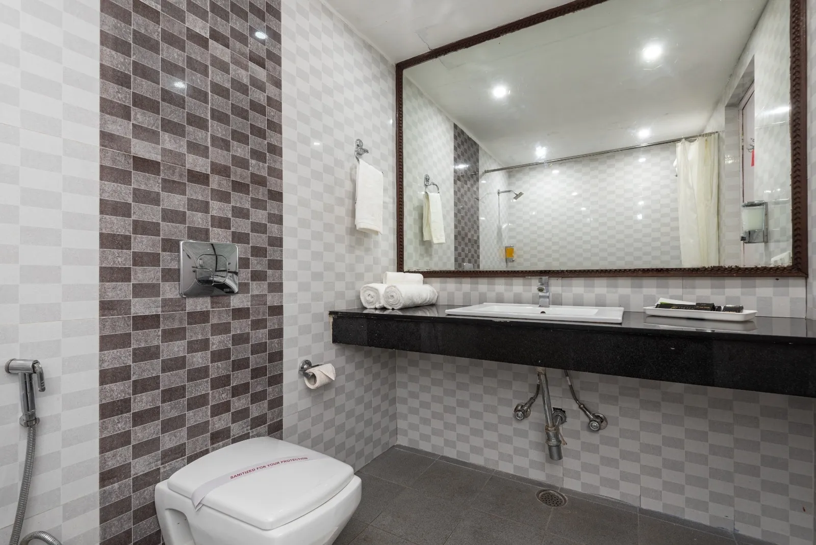 DLS Hotel Pearl Washroom