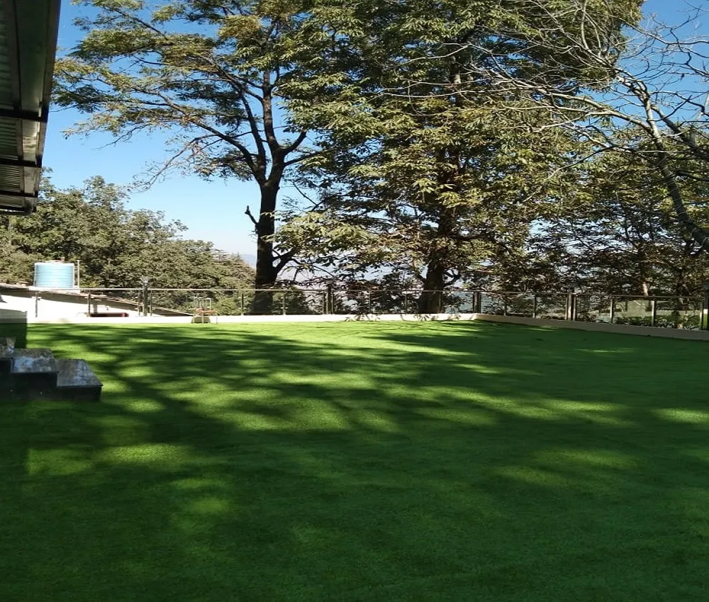 Hotel Wild Wood Garden