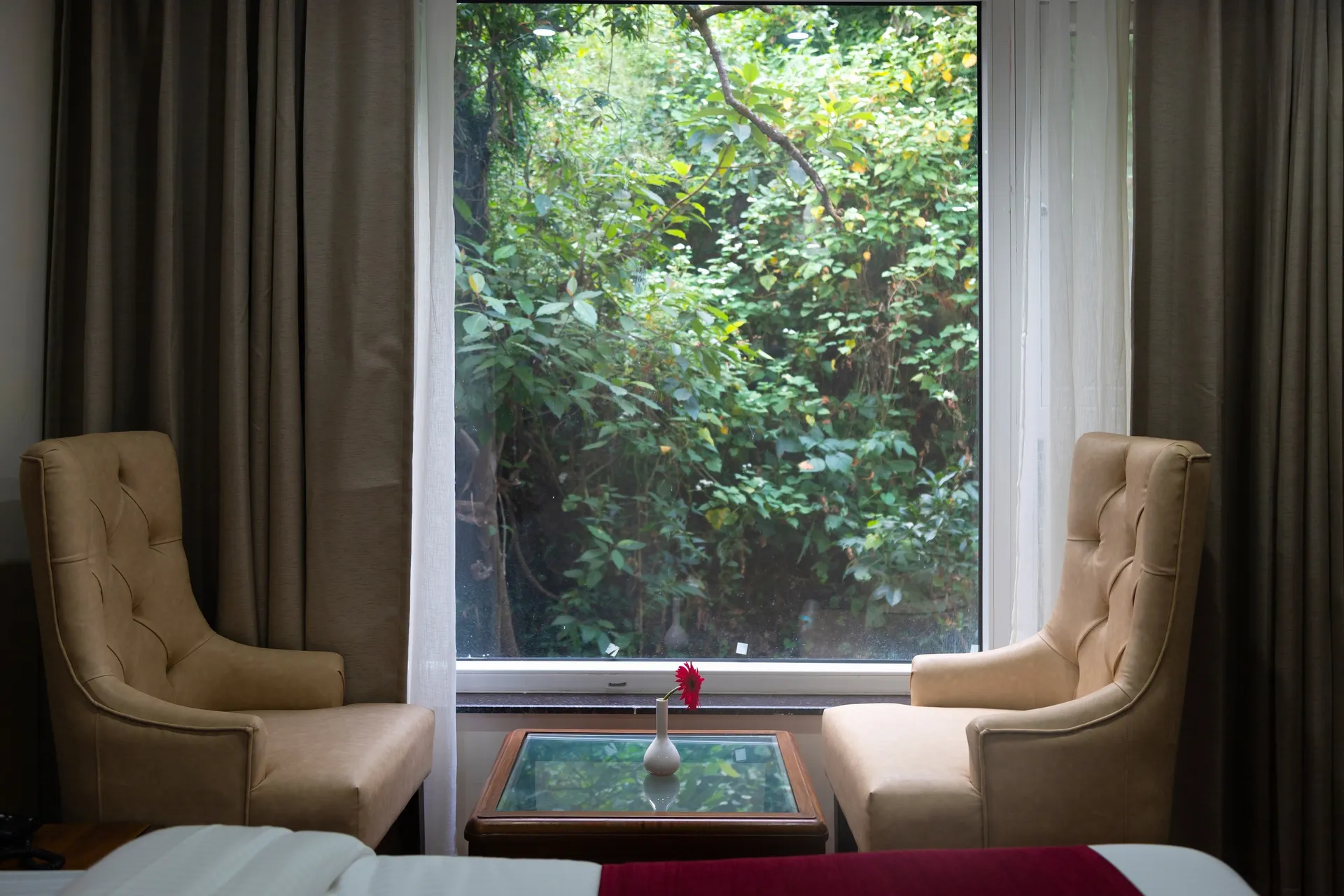 Hotel Wild Wood Room