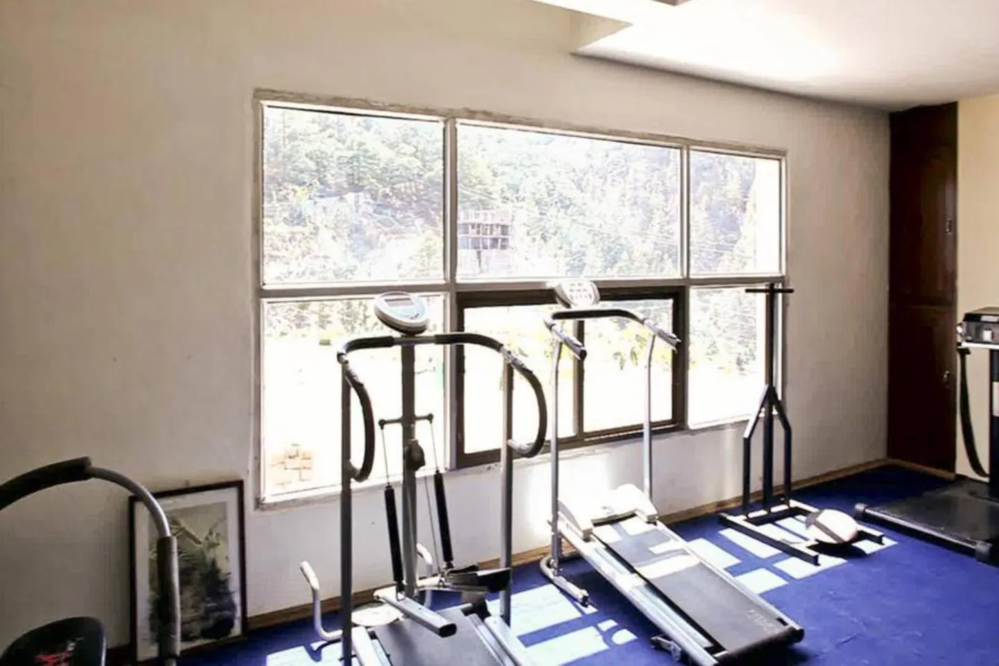 Dynasty Resort Gym