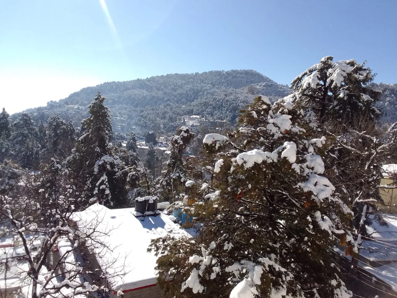 Orchid Nainital Outdoors