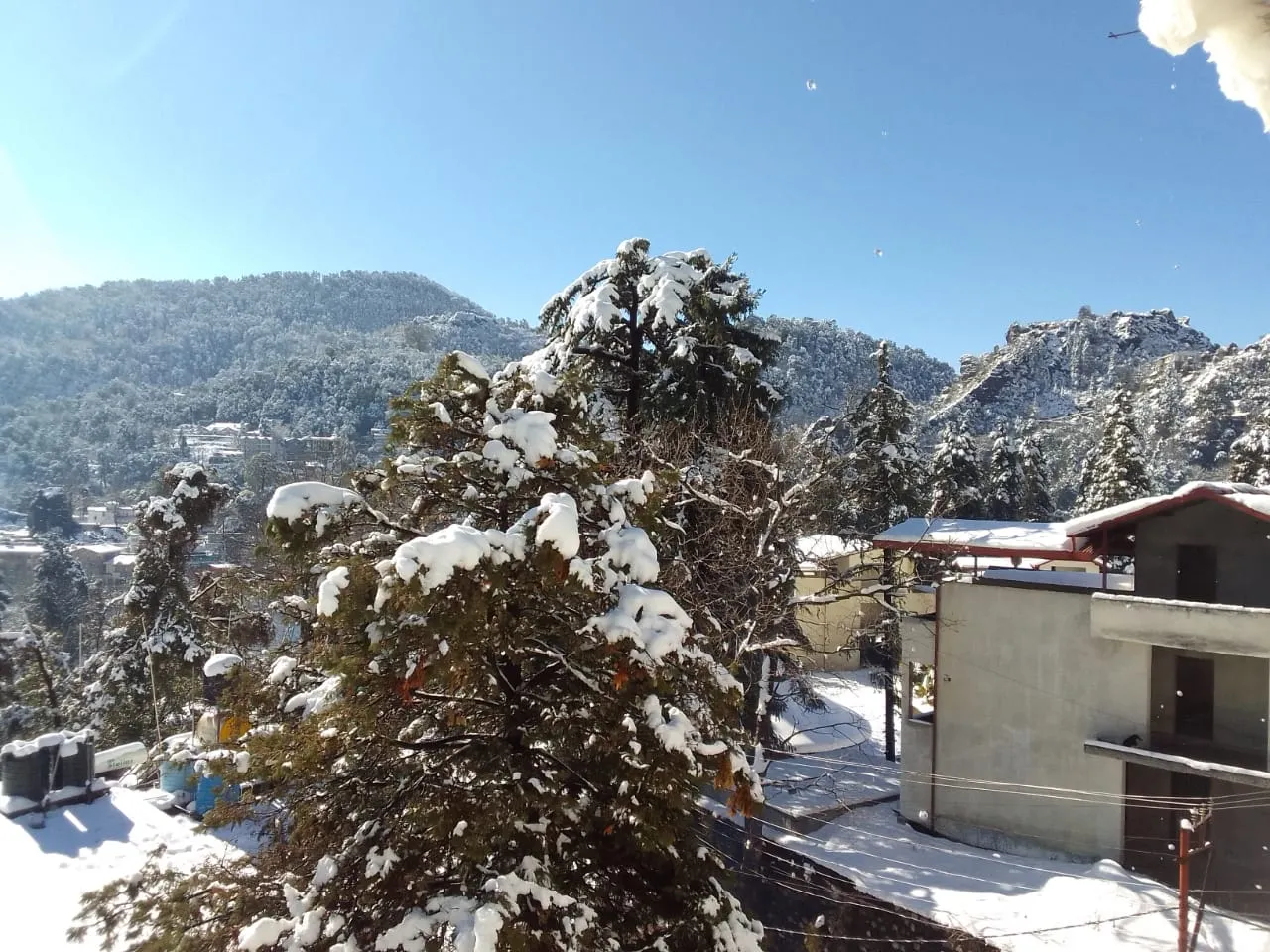 Orchid Nainital Outdoors