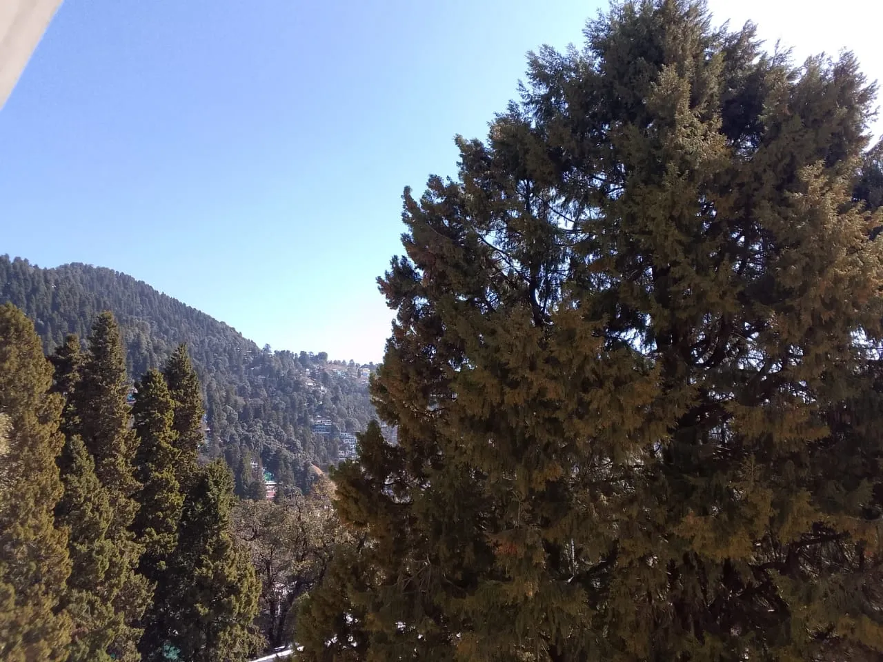Orchid Nainital Outdoors