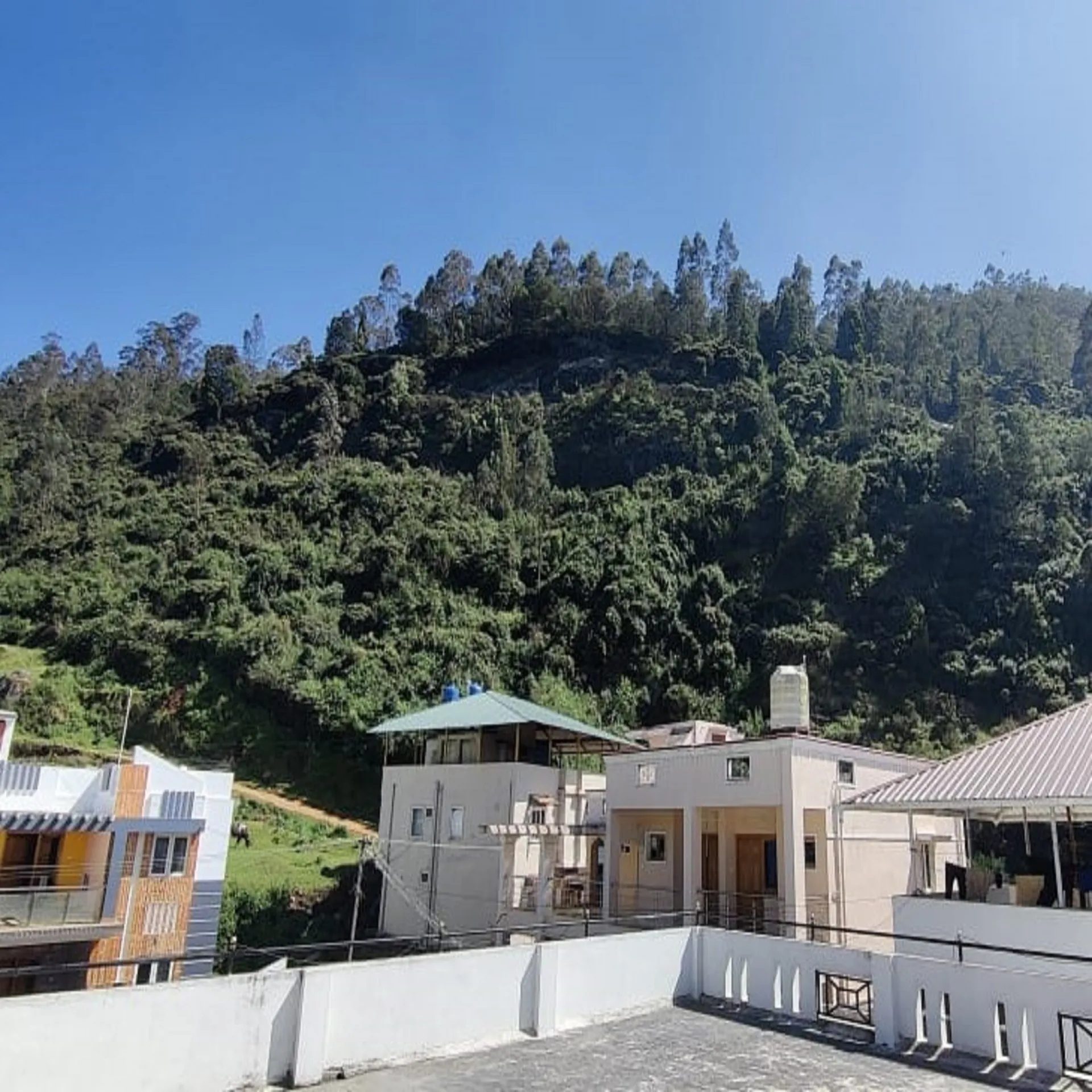 The Forest View Cottages | Rooms & Wi-Fi Terrace