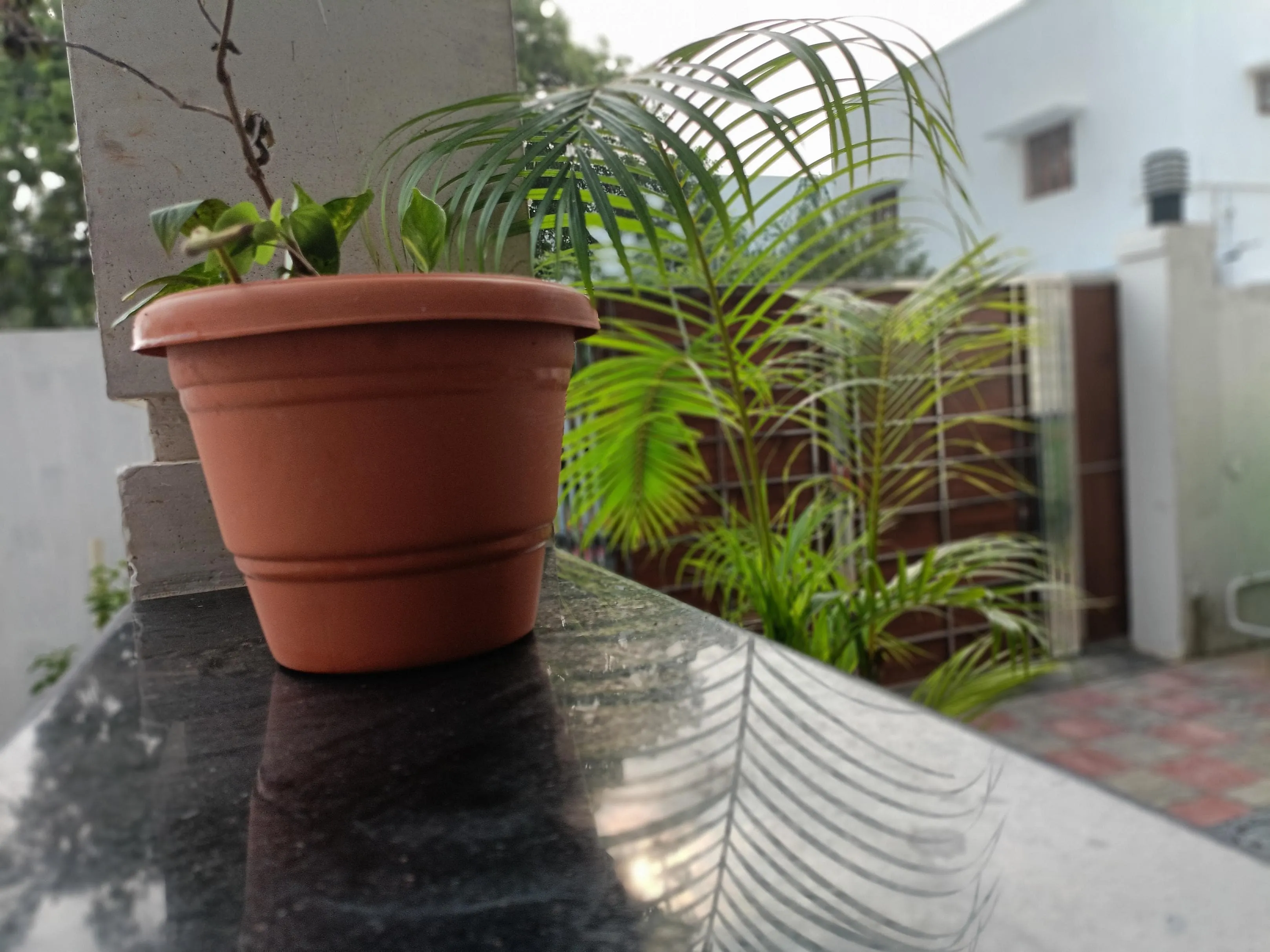 Bairava Bliss Inn Garden