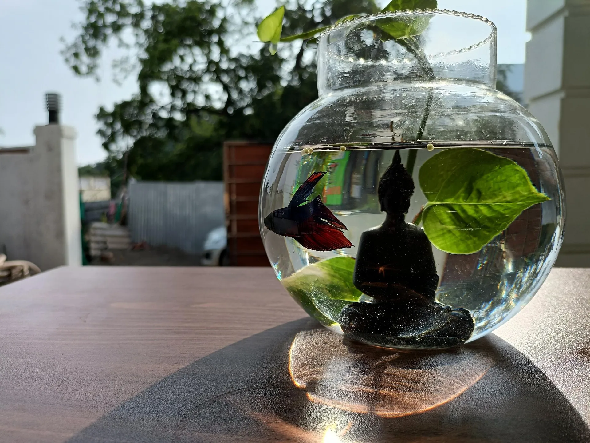 Bairava Bliss Inn Garden