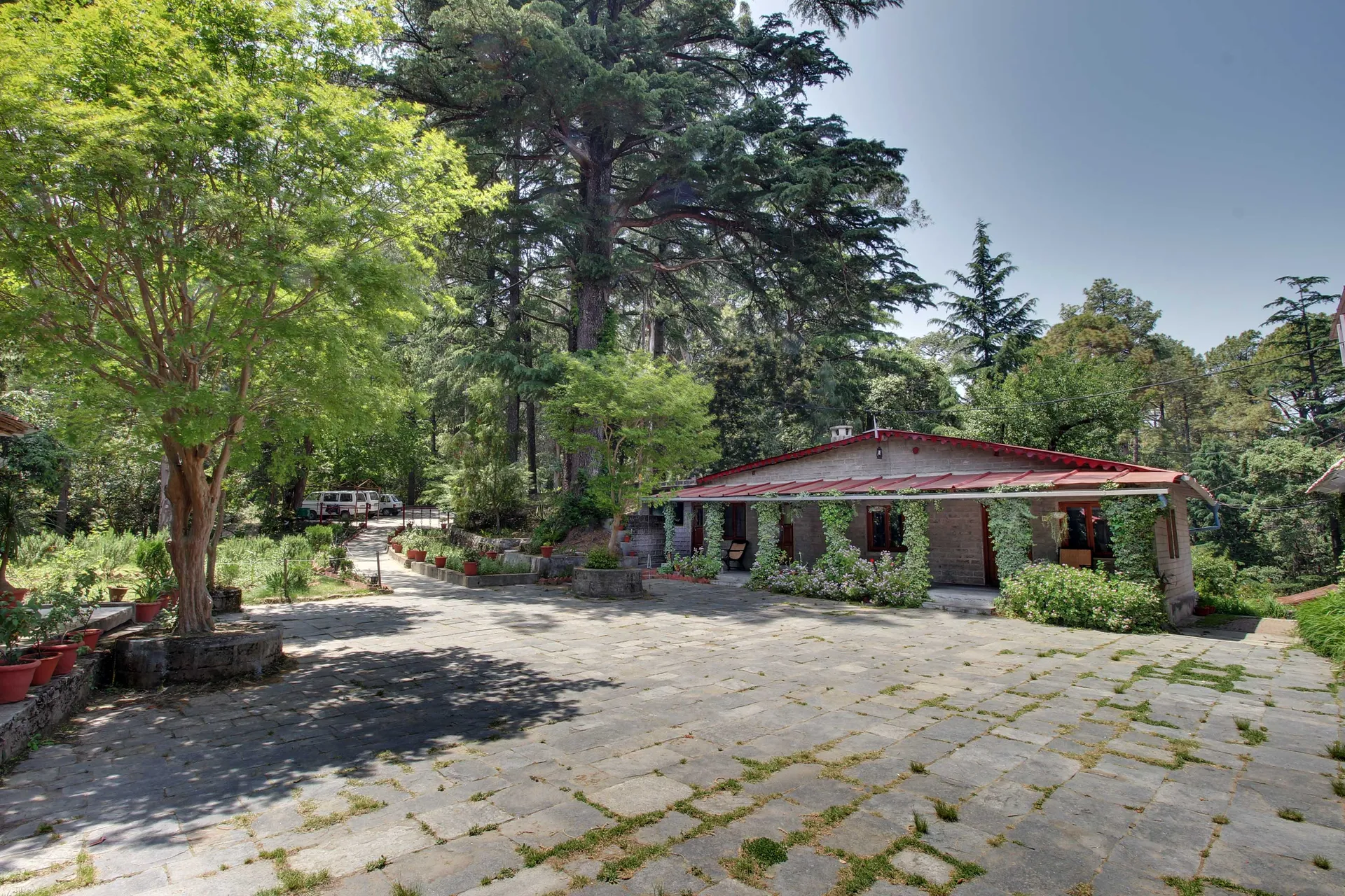 Hotel Chevron Rosemount, Ranikhet Outdoors