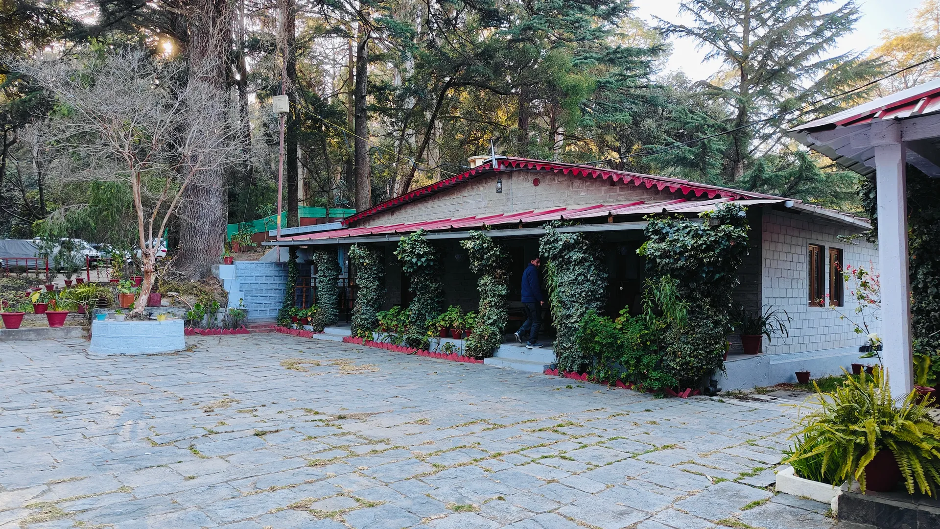Hotel Chevron Rosemount, Ranikhet Room