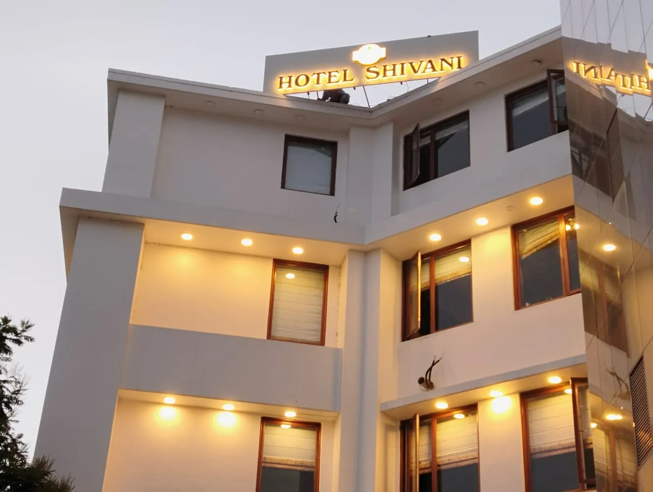 Shivani Foods and Resort Others