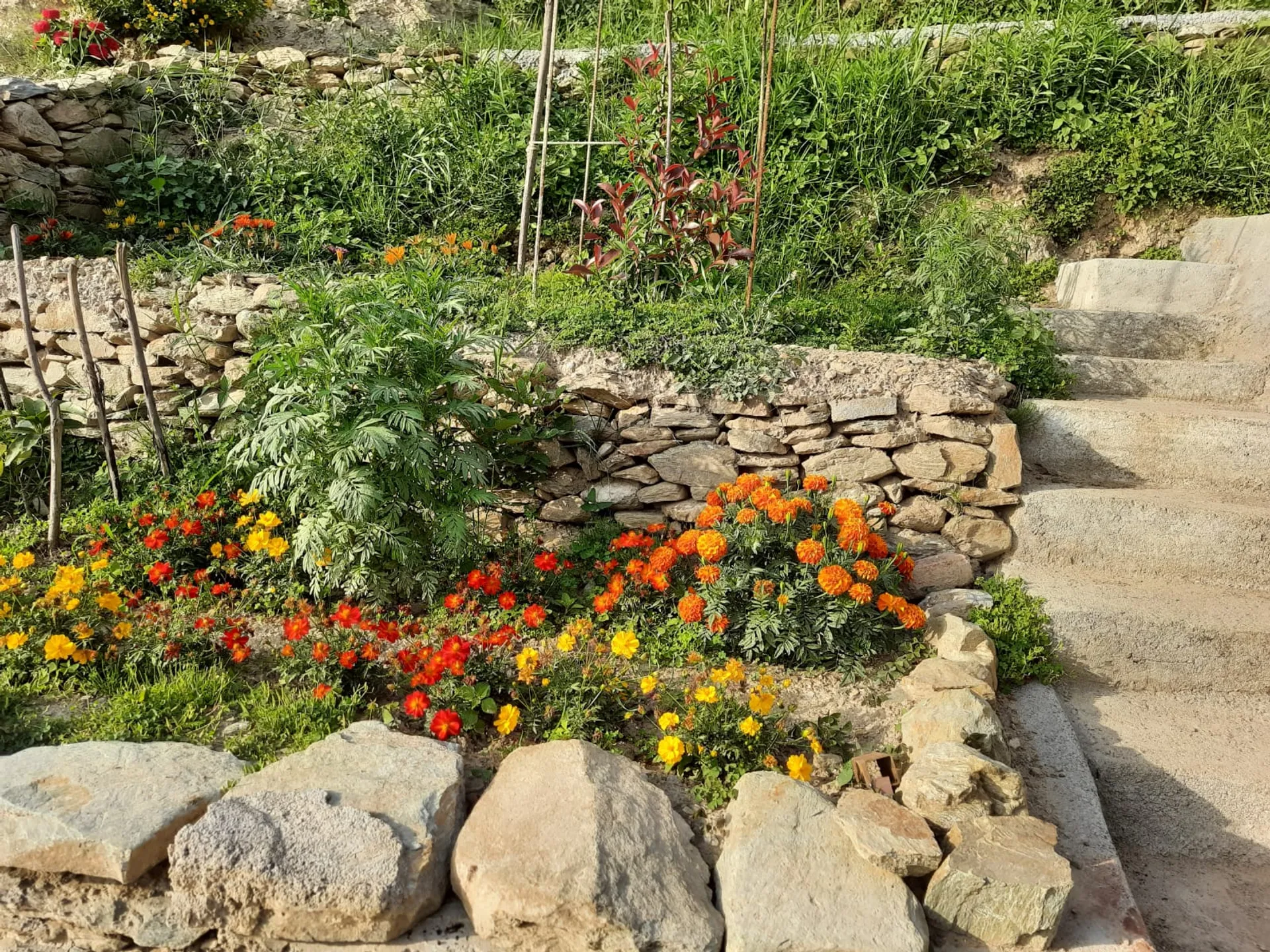 Shivani Foods and Resort Outdoors