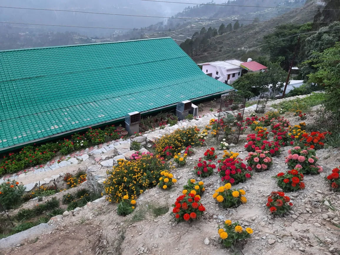 Shivani Foods and Resort Outdoors