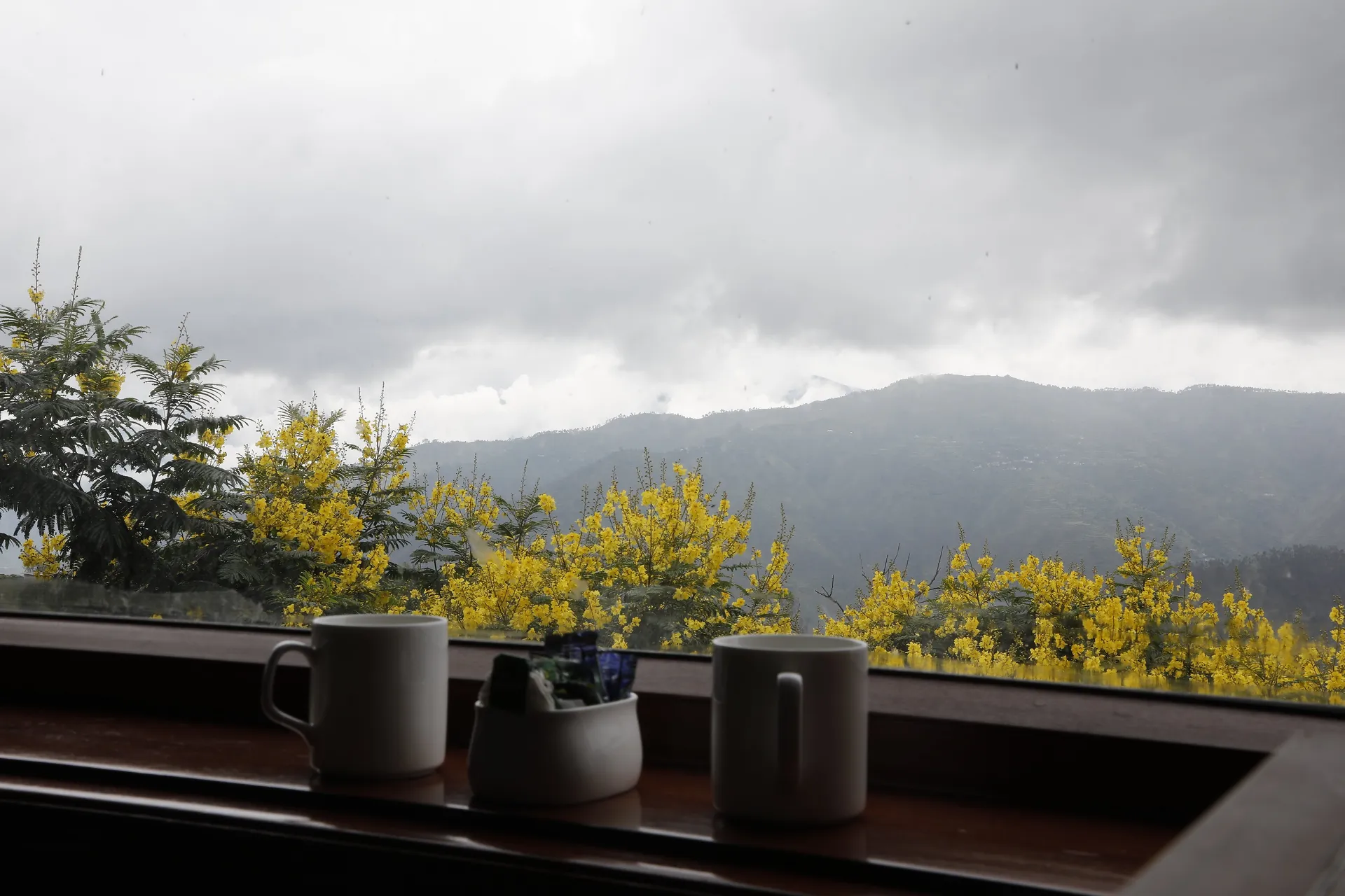 Shivani Foods and Resort Outdoors