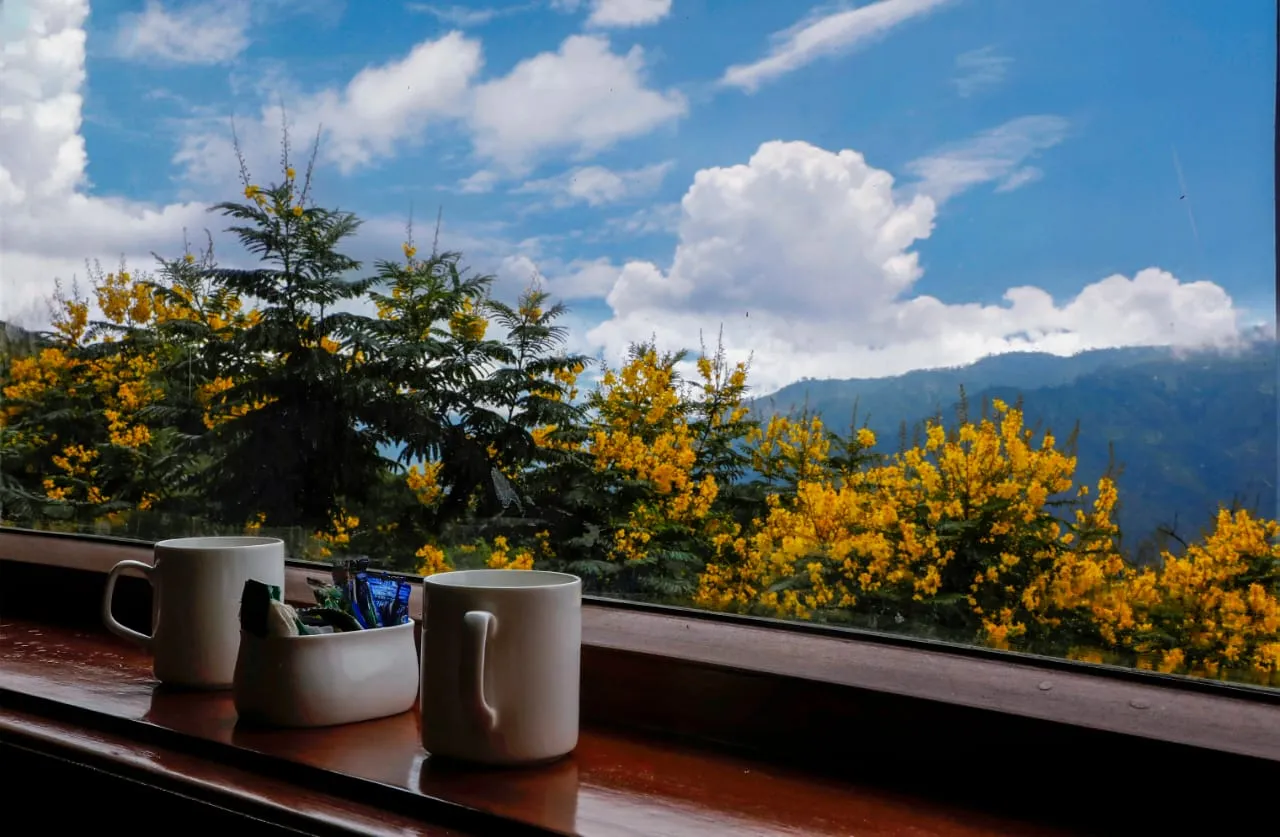 Shivani Foods and Resort Views