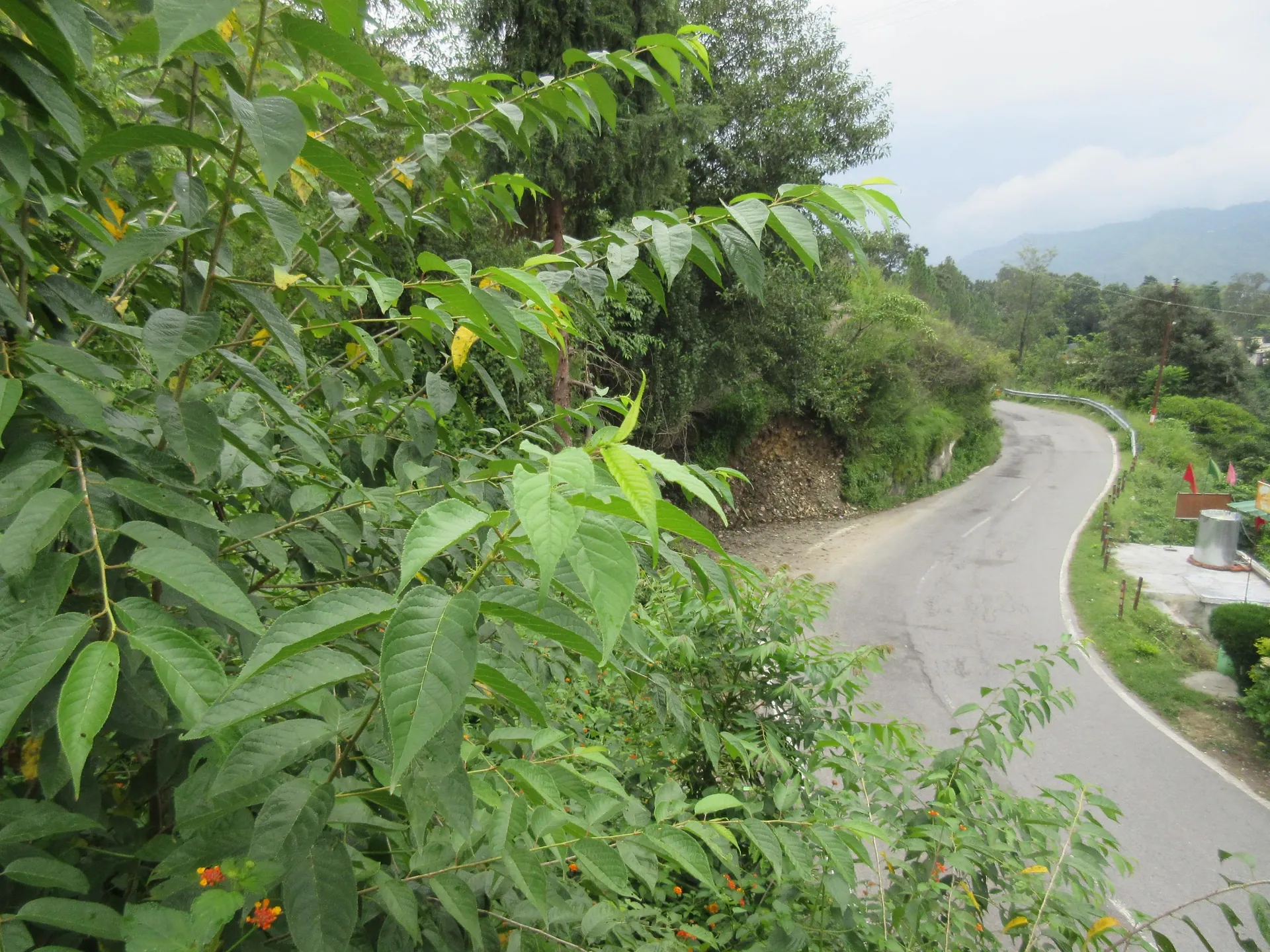 Shivani Foods and Resort Views
