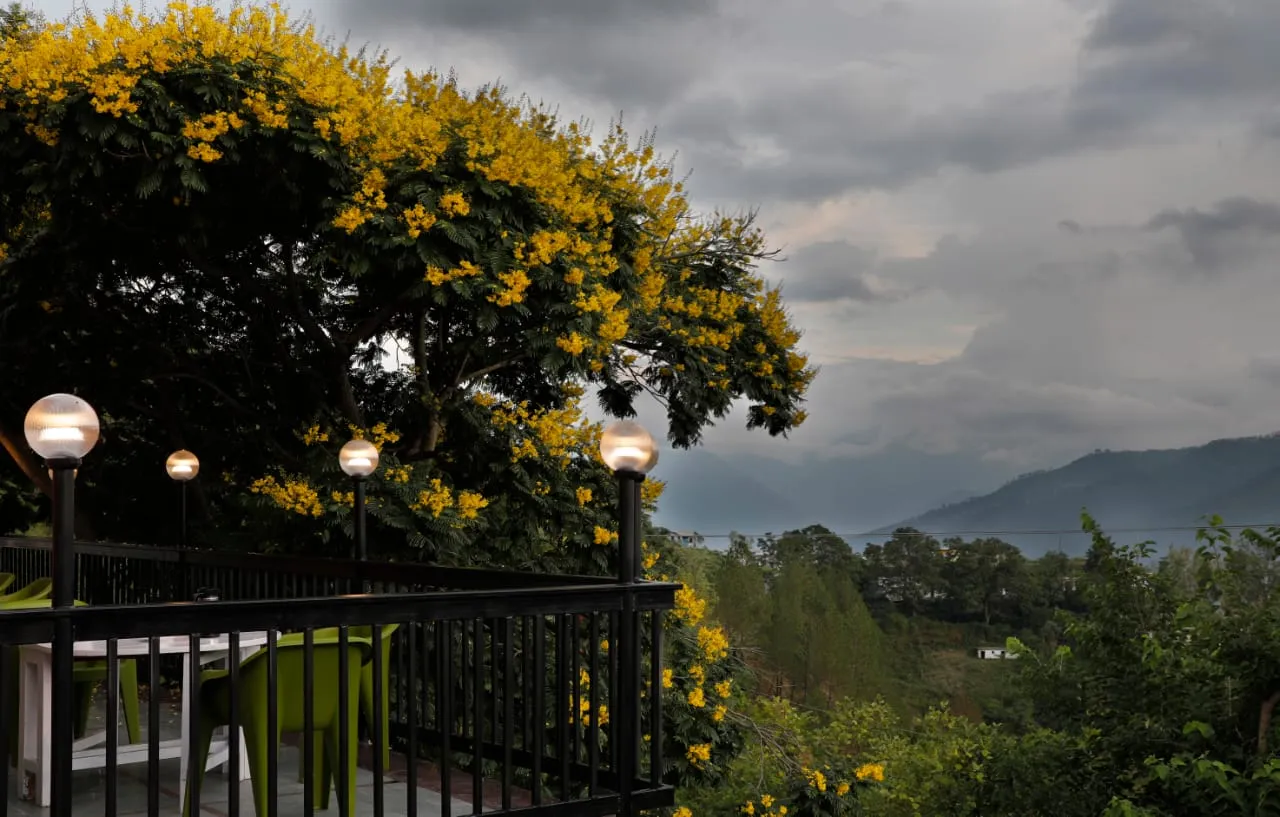 Shivani Foods and Resort Views