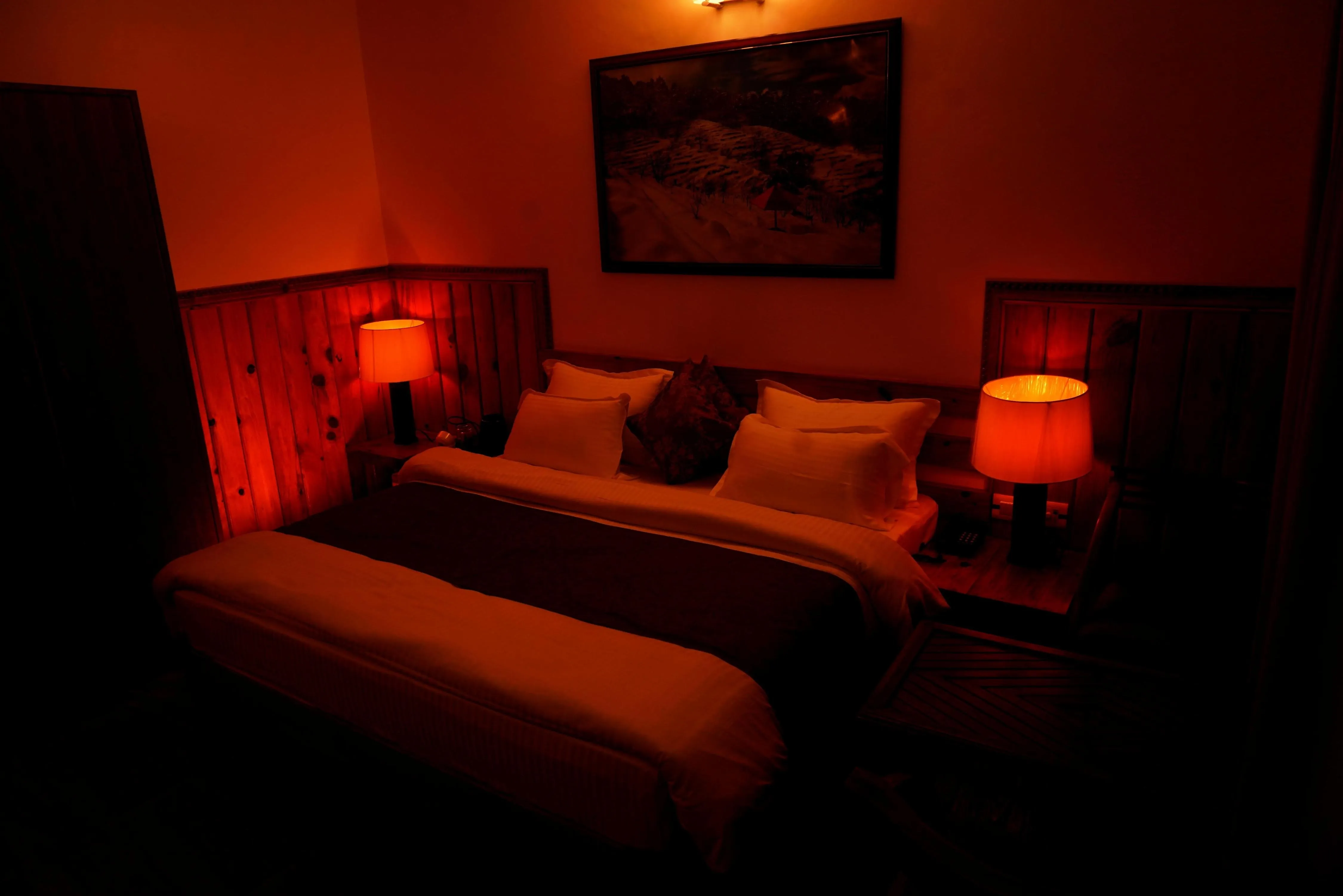 The Dharmas Resort Ranikhet Others