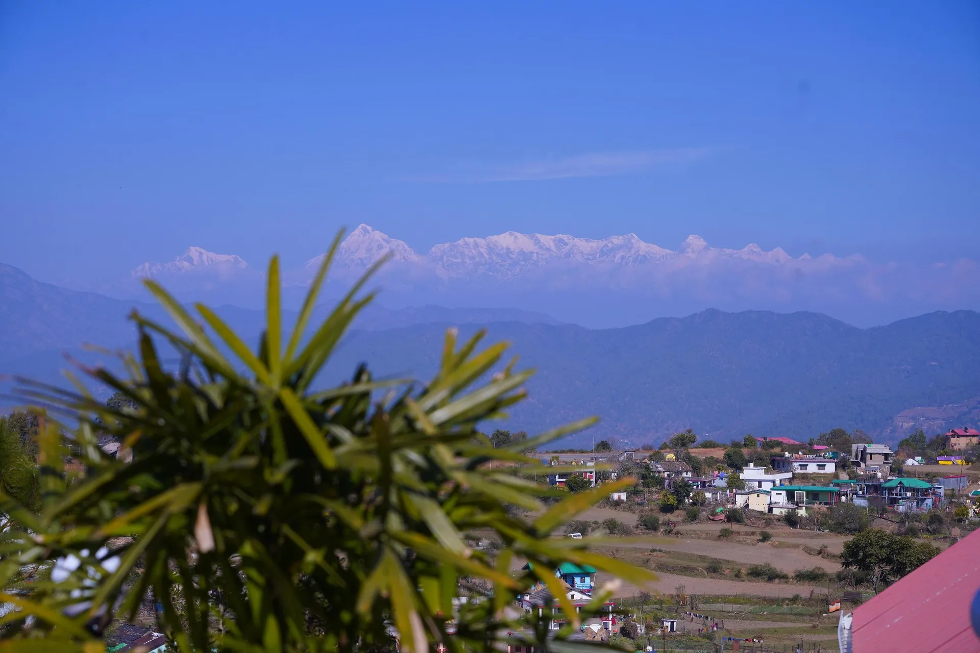 The Dharmas Resort Ranikhet Outdoors