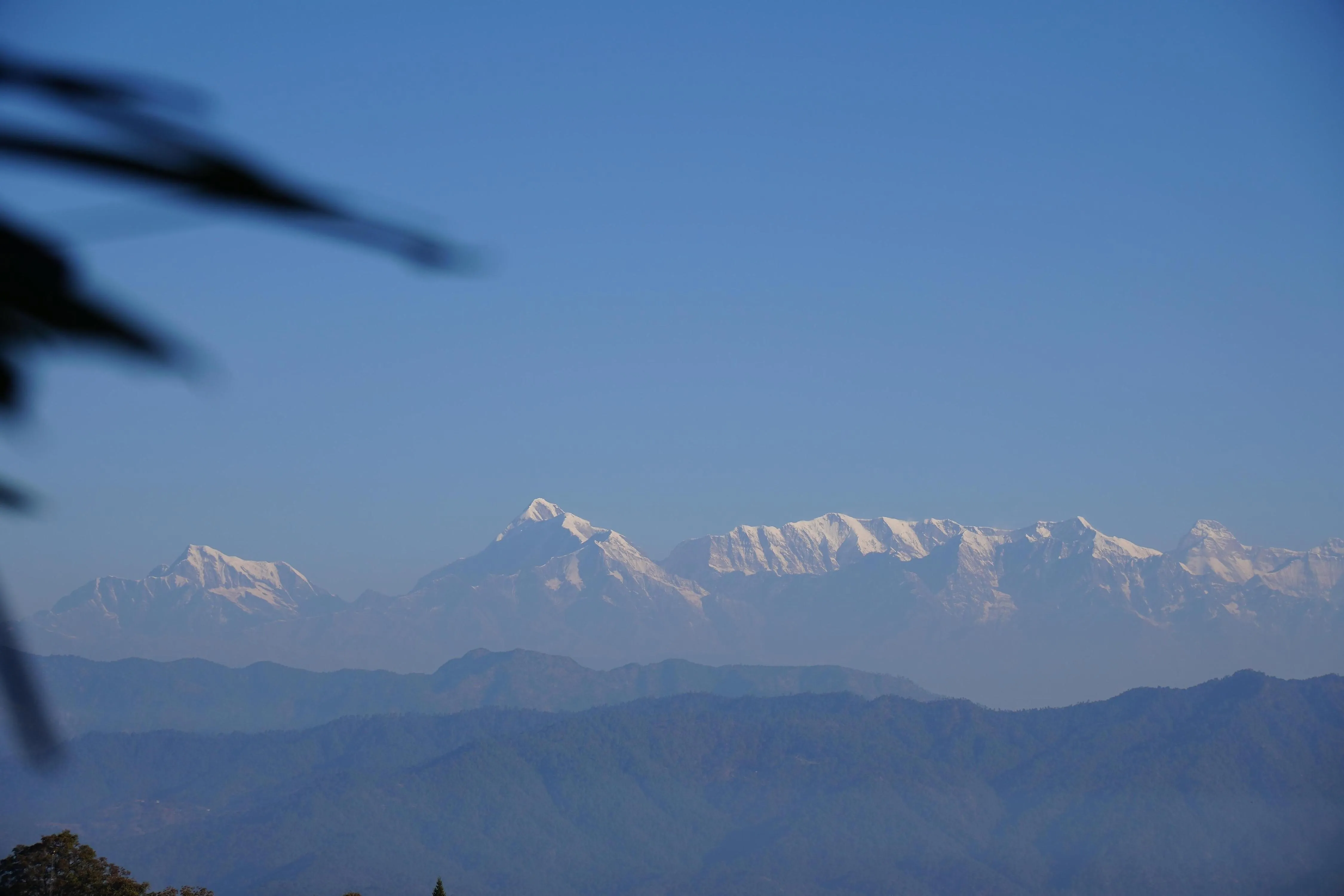 The Dharmas Resort Ranikhet Outdoors