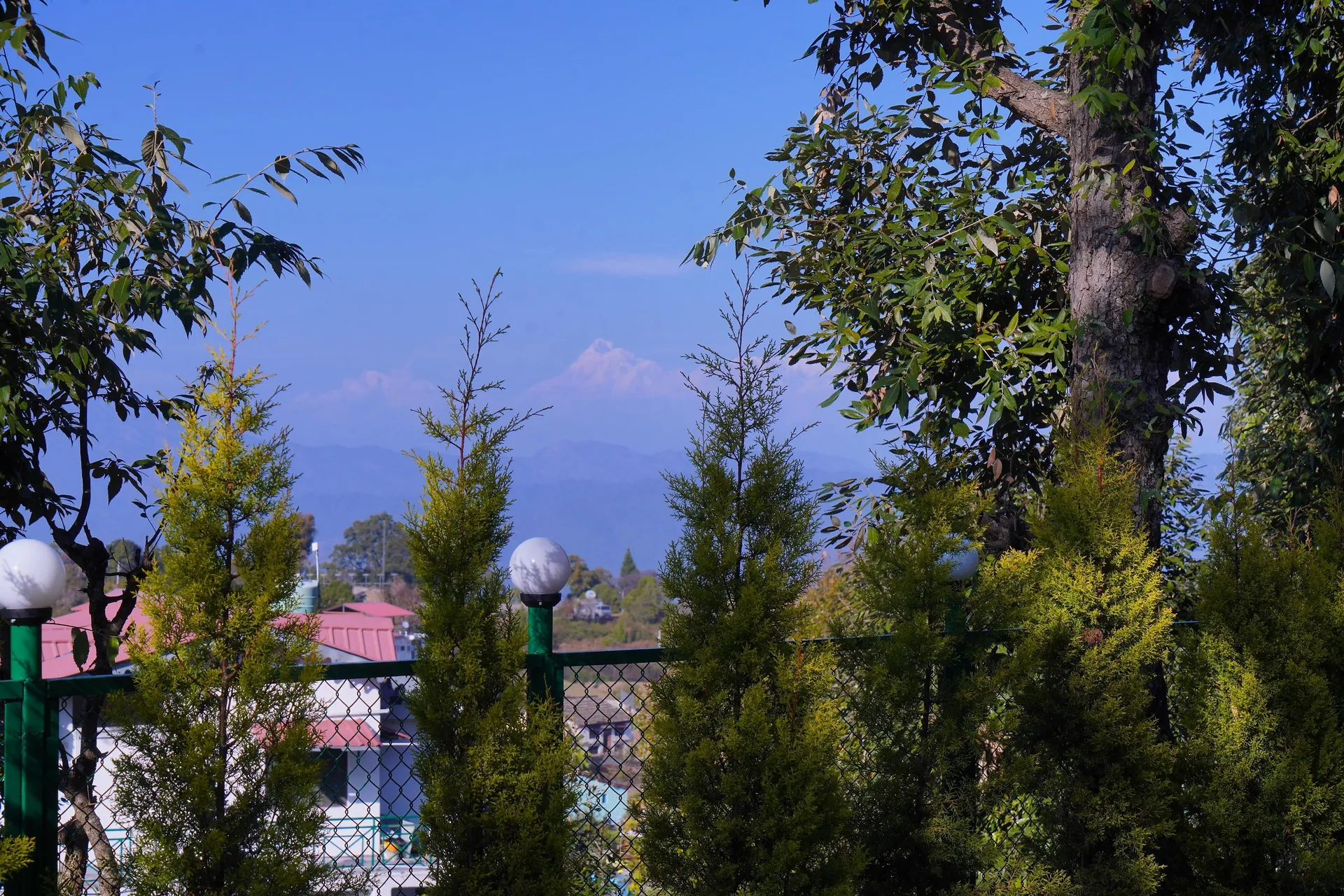 The Dharmas Resort Ranikhet Outdoors