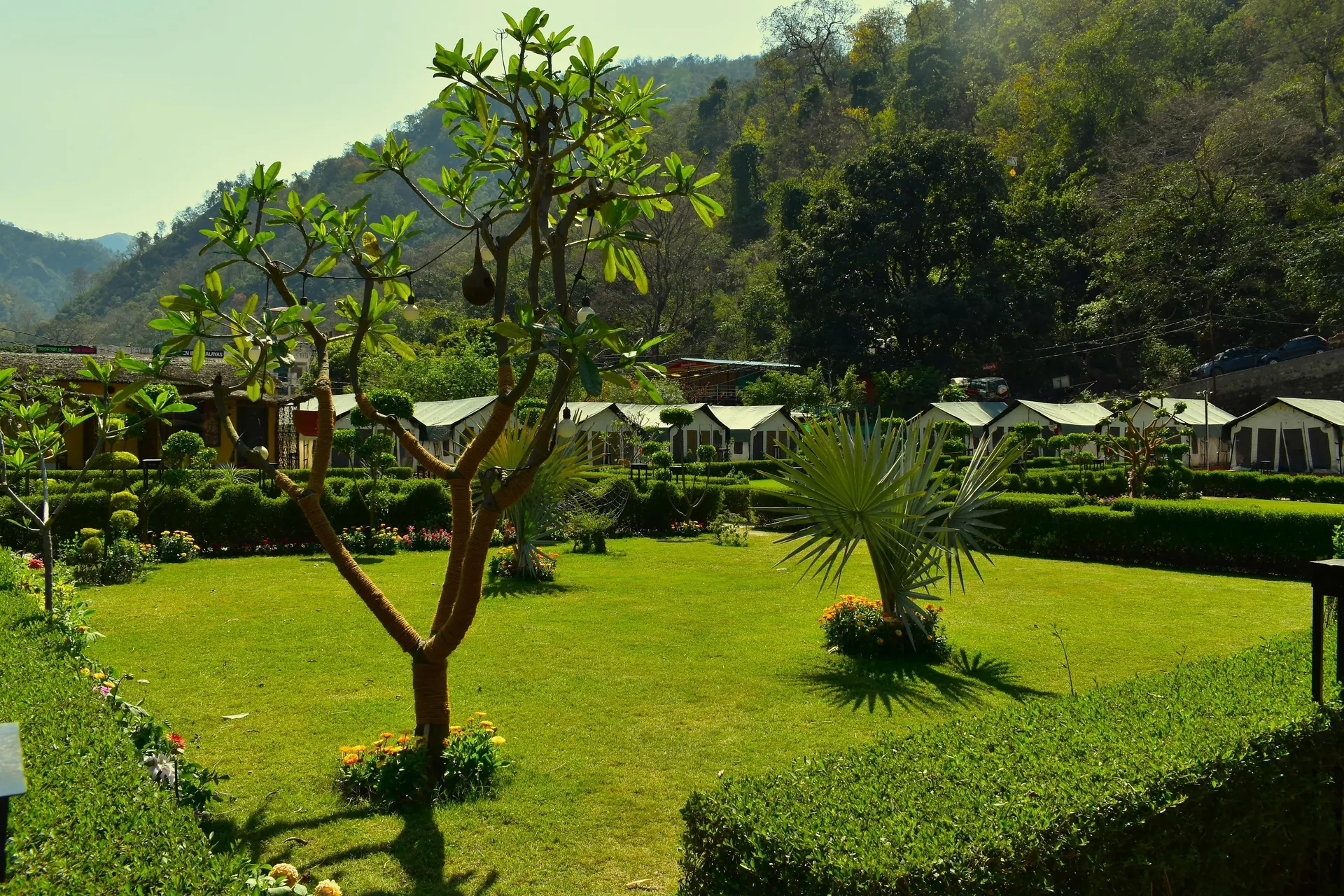 Camp Brook - Luxury Camping in Rishikesh Garden