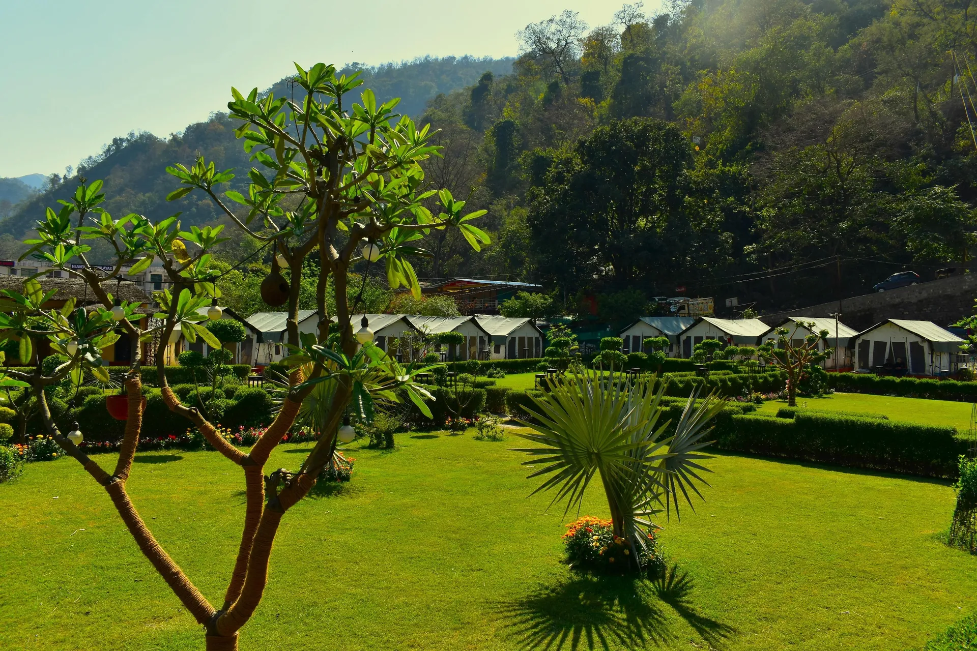 Camp Brook - Luxury Camping in Rishikesh Garden