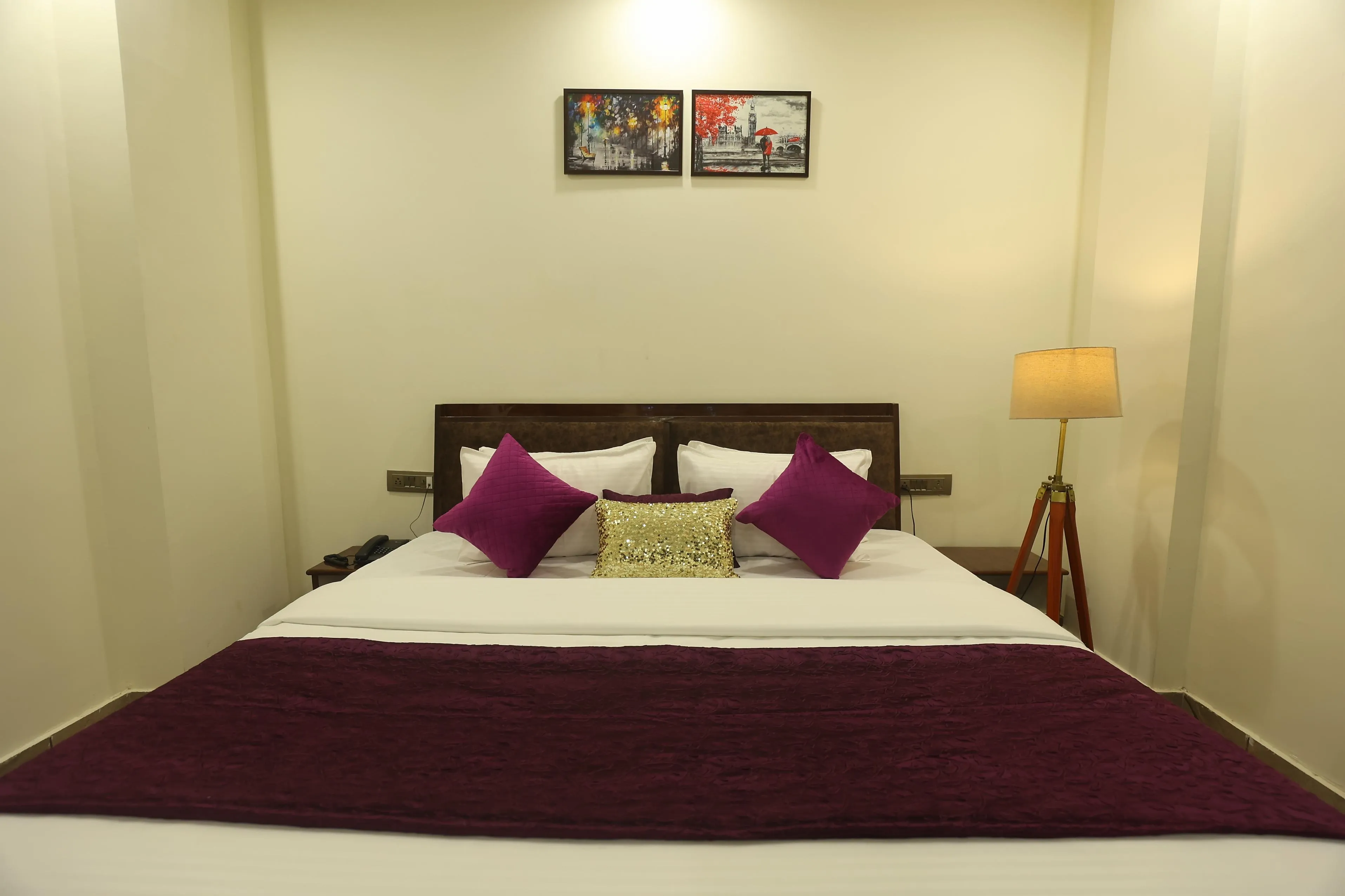 Perfect stayz AIIMS Private Room