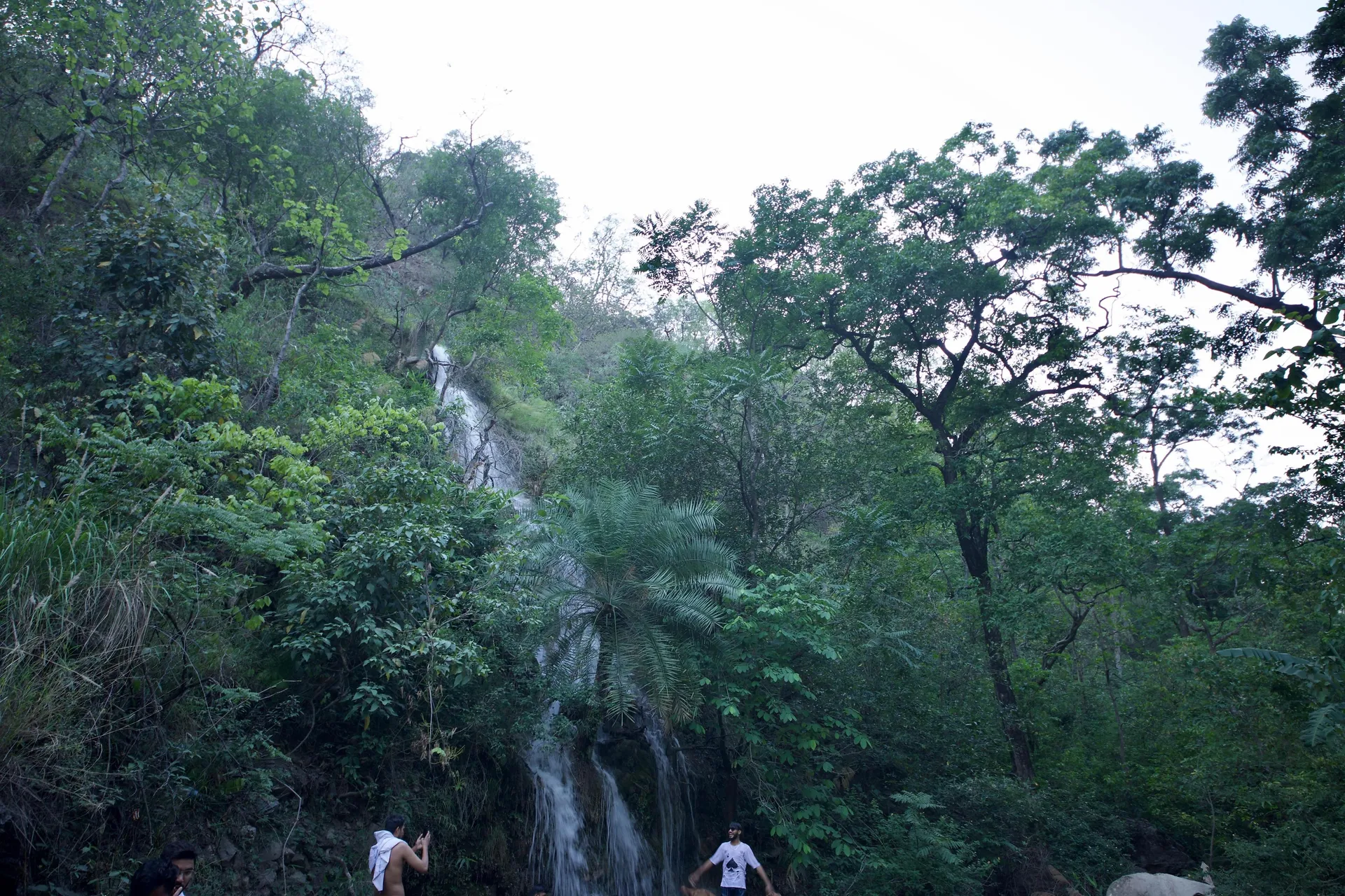 Perfect stayz Premium Forest Valley Near Waterfall Outdoors