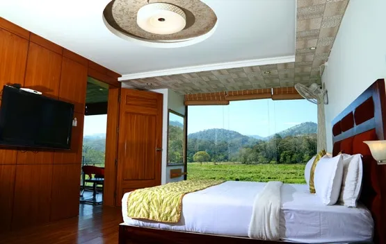 Hotel Tigers Roare Room