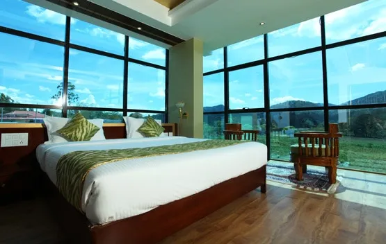 Hotel Tigers Roare Room