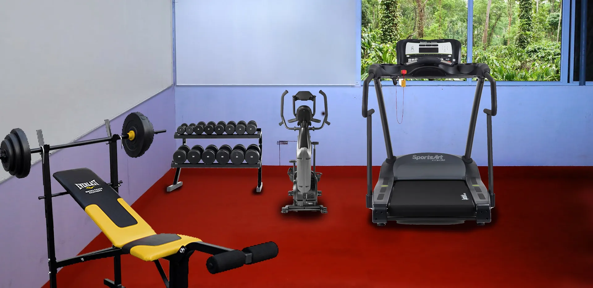 Wild Saga Gym