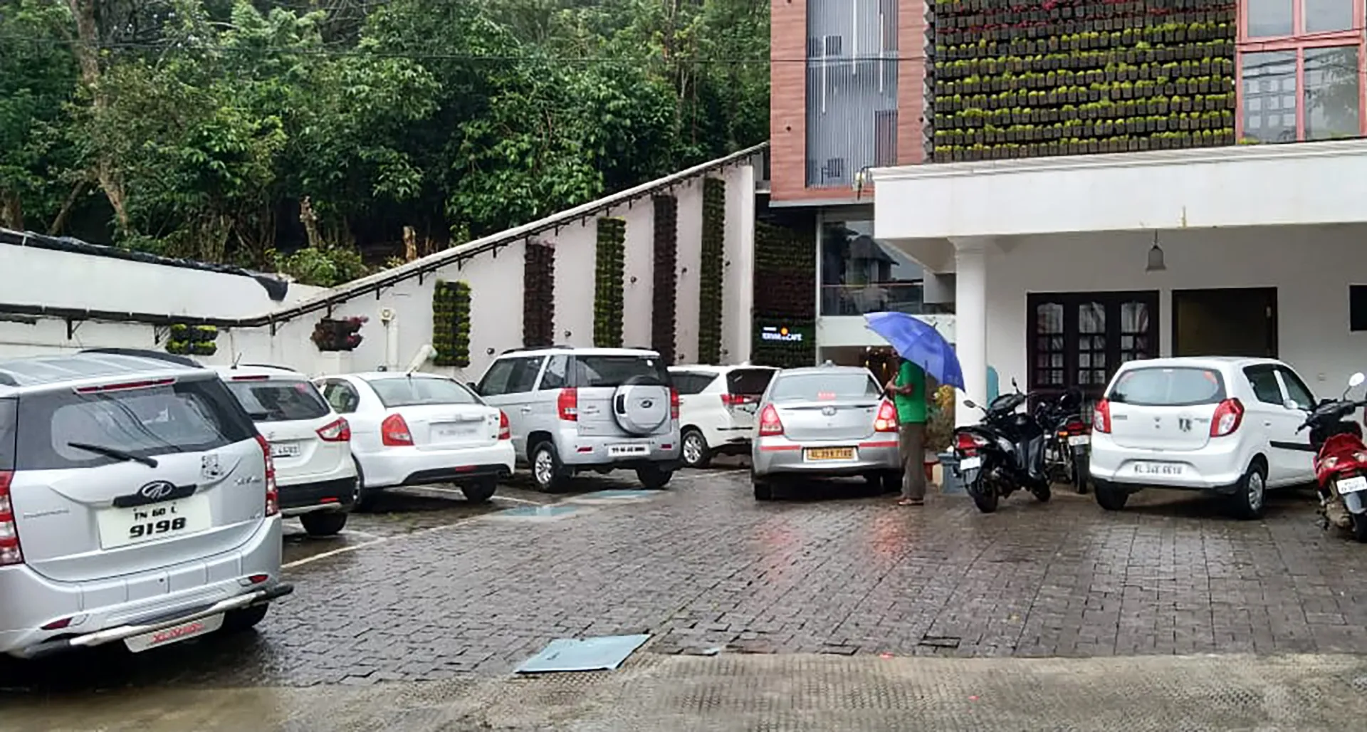 Wild Saga Parking