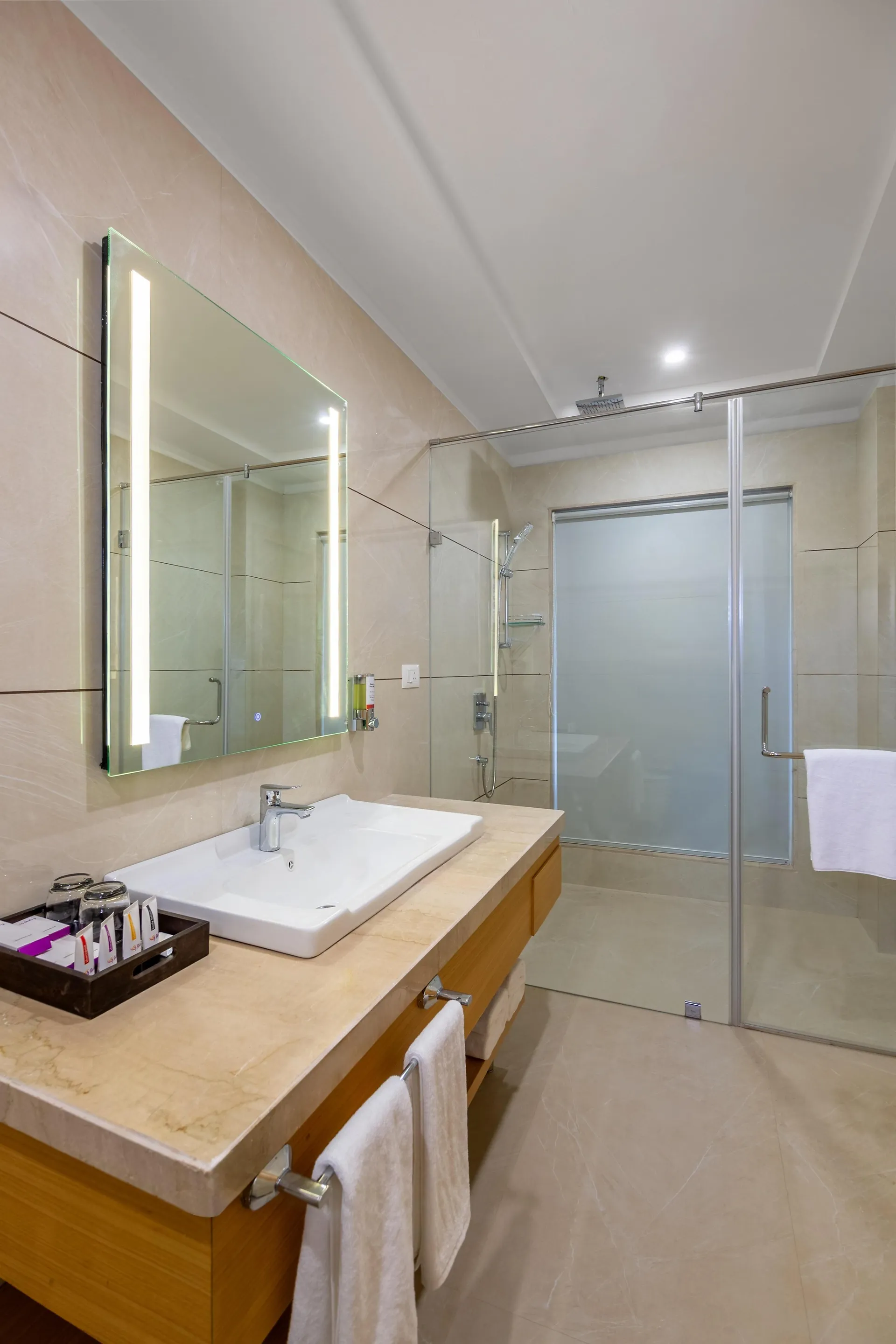 Sterling Aravalli Udaipur Washroom