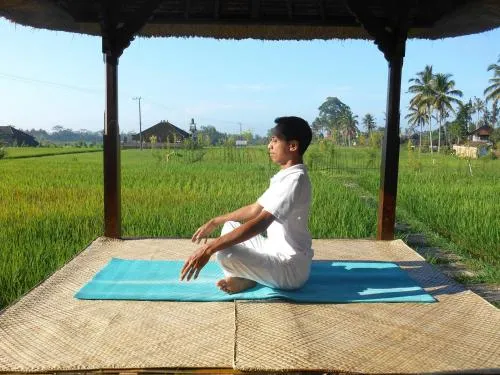 Alam Puisi Villa Others