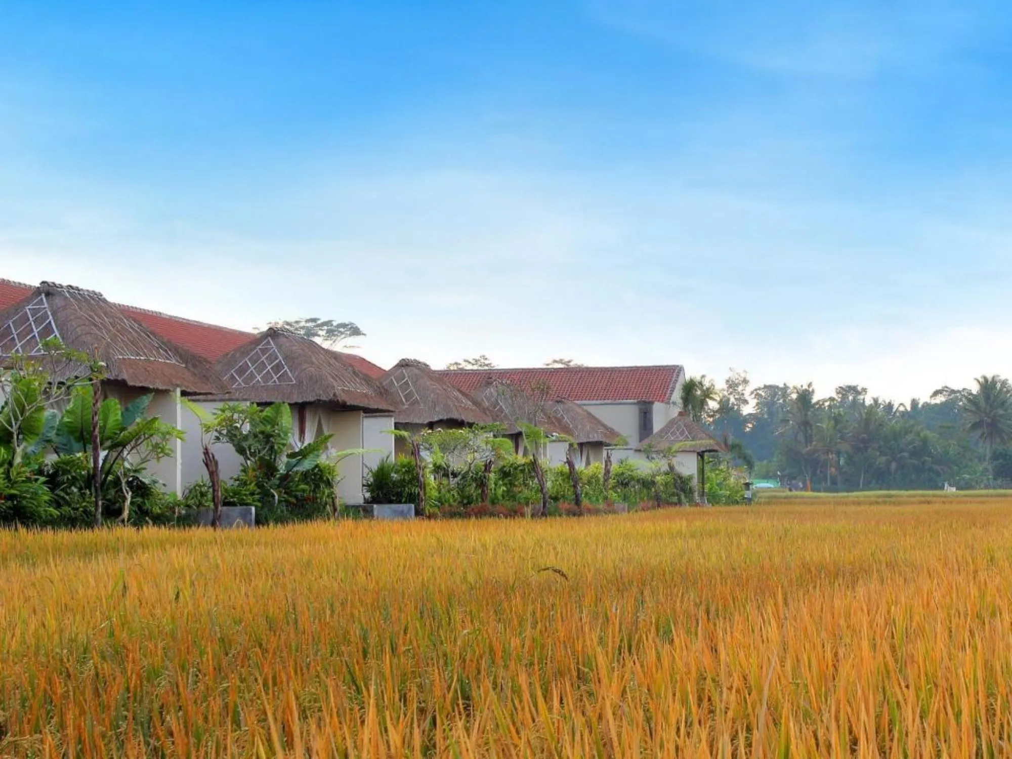 Alam Puisi Villa Outdoors