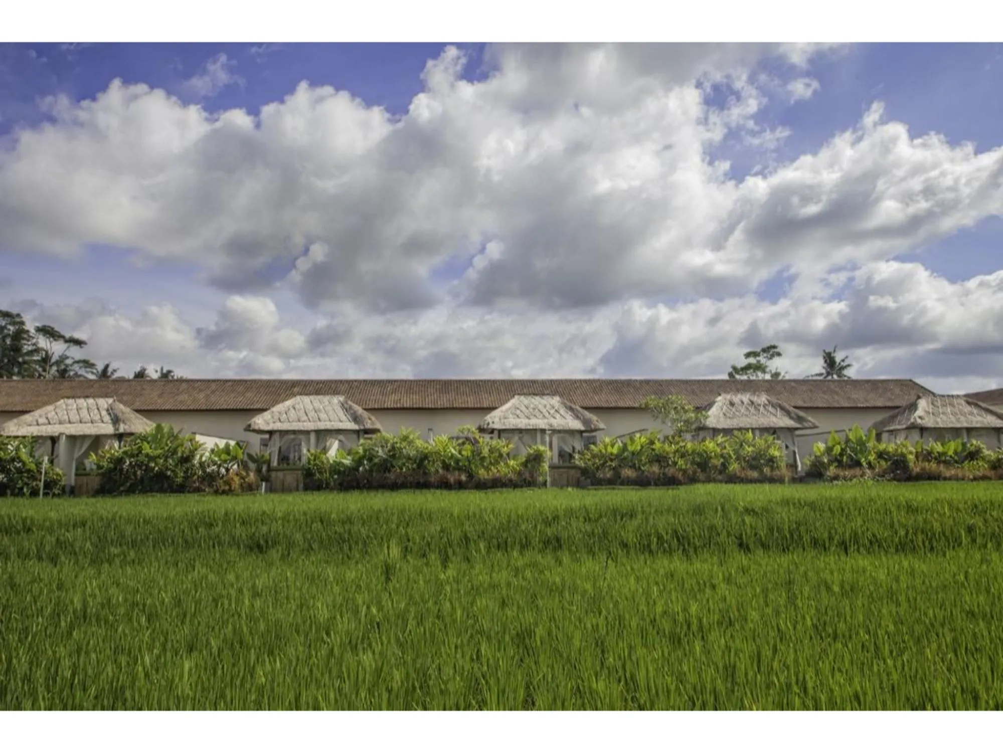 Alam Puisi Villa Outdoors