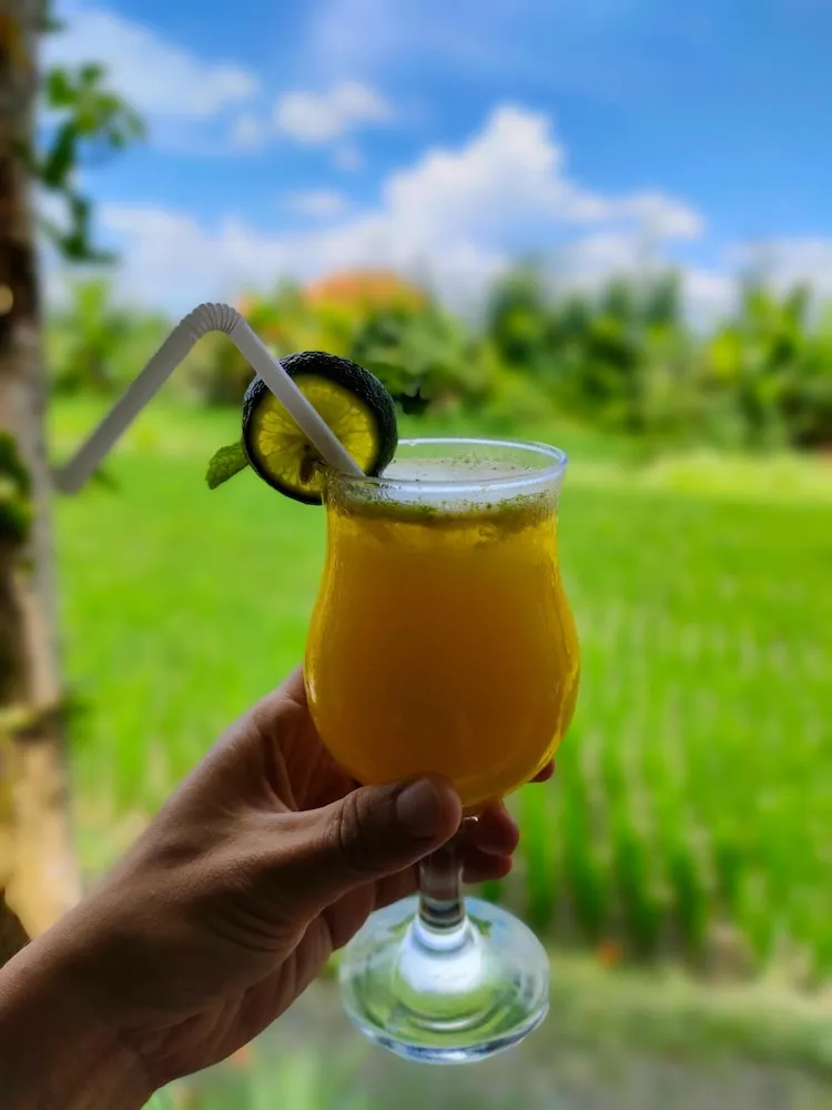 Alam Puisi Villa Outdoors