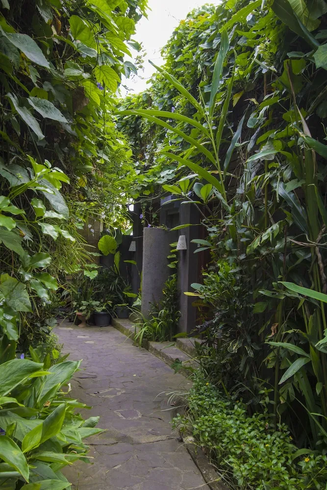Ladera Villa Ubud Outdoors