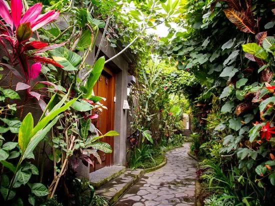 Ladera Villa Ubud Room