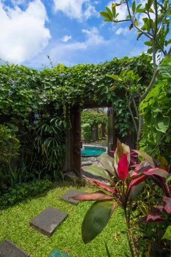 Ladera Villa Ubud Room